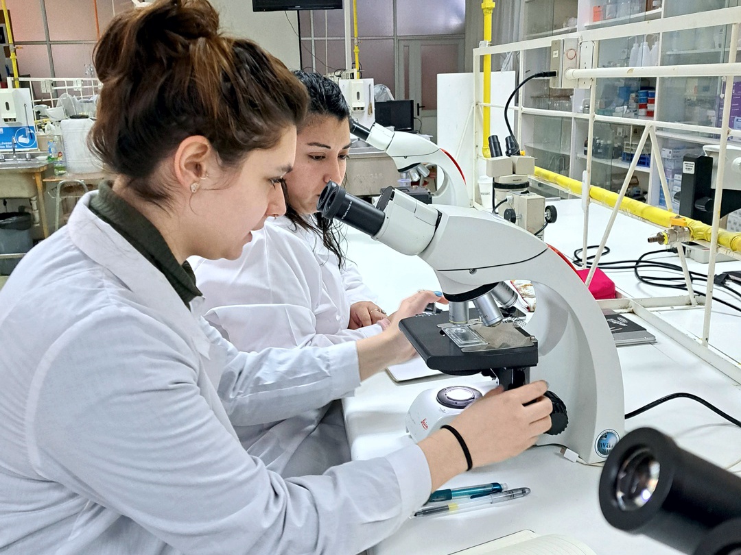 Curso fitoplancton Biología Marina UMAG 2023