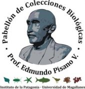 logo-colecciones-umag-umag-th