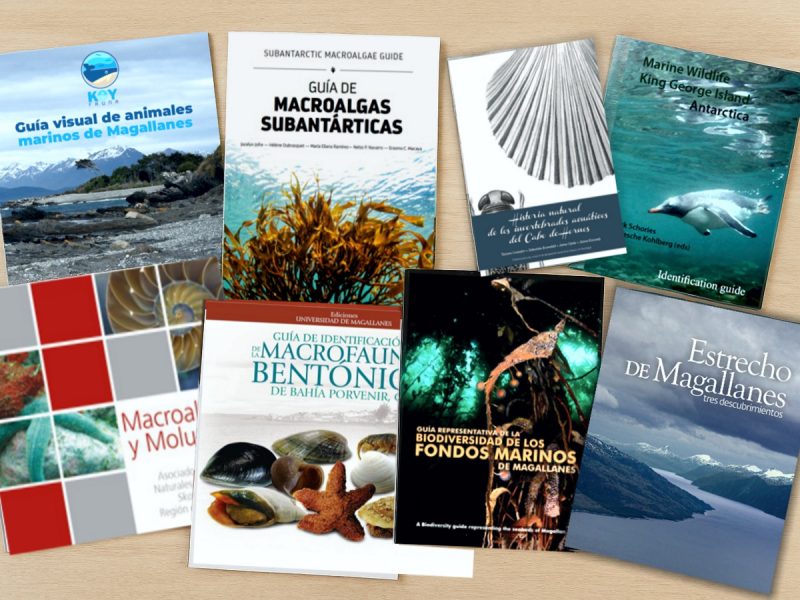 muestra-libros-biomarina-umag