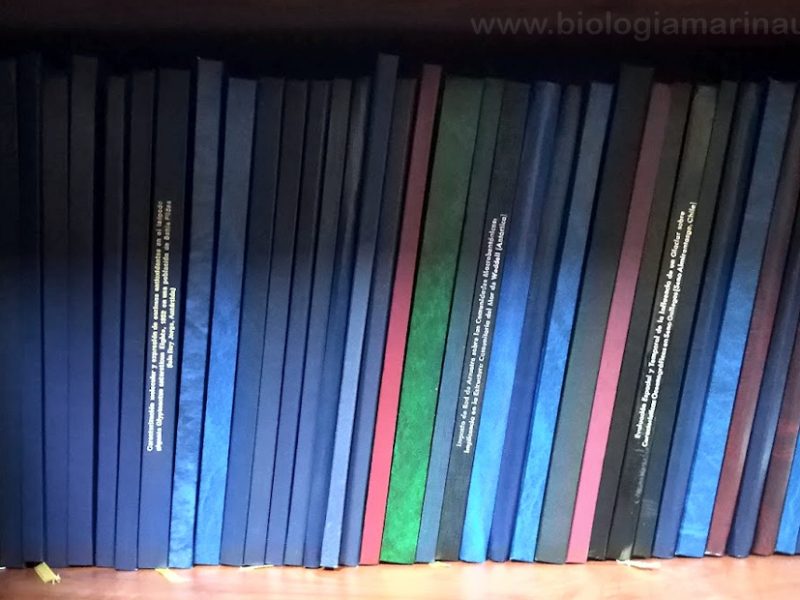 Tesis de Biología Marina UMAG